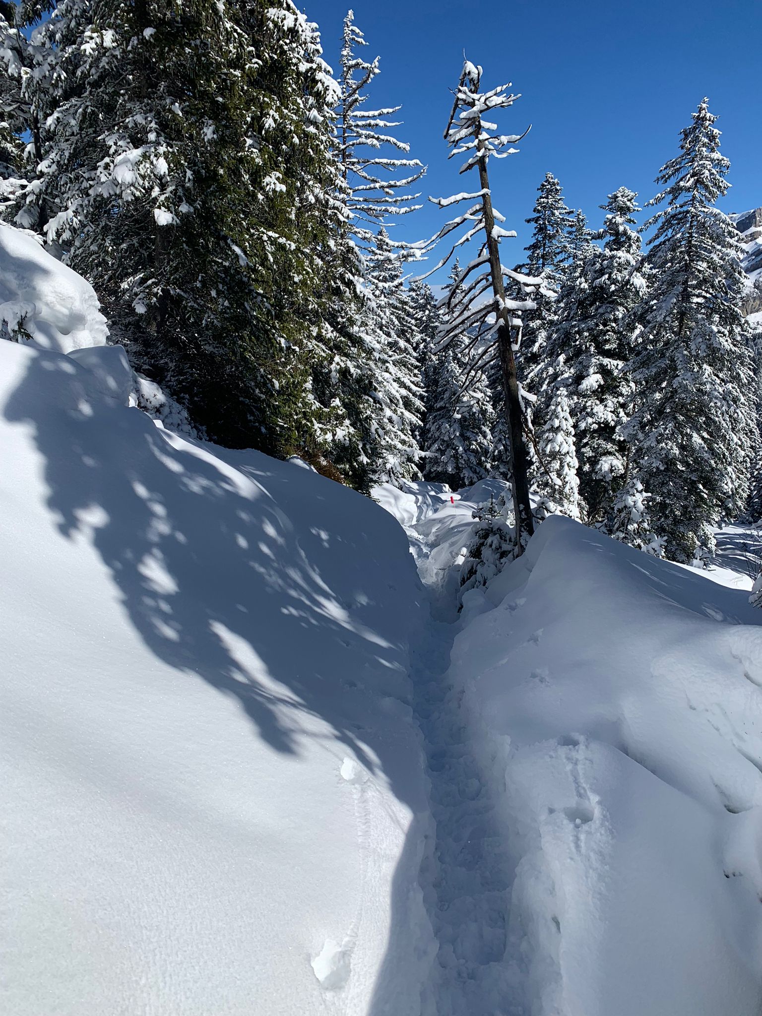 WhatsApp Image 2024 02 23 à 12.48.49 f5bd4f22